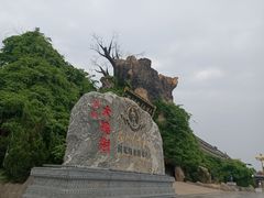 -大槐树寻根祭祖园
