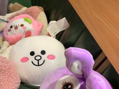 -PAWTOY爪e玩偶店(天兴罗斯福店)