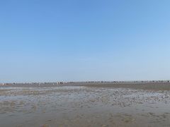 -南汇新城海滩