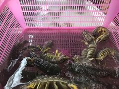 -班赞海鲜市场