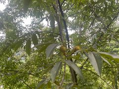 -藏龙百瀑风景区