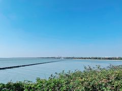 -贡湖湾湿地公园