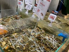 水产区-盒马鲜生(皇庭广场店)