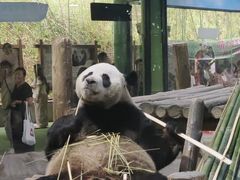 -栾川竹海野生动物园