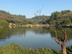 -南国桃园旅游度假区