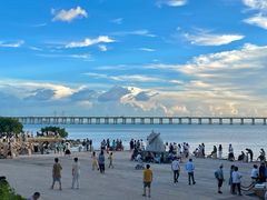 -宝安西湾红树林湿地公园