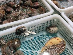 -都斛海鲜街