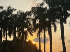 -华农酸奶文化馆