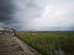 -南汇嘴观海公园