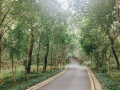 -钟山体育运动公园