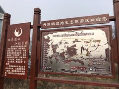 -盐城丹顶鹤湿地生态旅游区