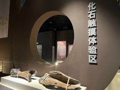 -呼伦贝尔民族博物馆