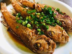 香煎马头鱼-和记菜馆