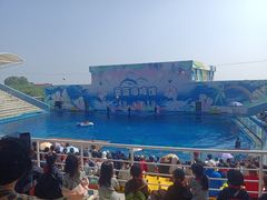 -北戴河圣蓝海洋公园