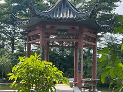 -广州神农草堂中医药博物馆