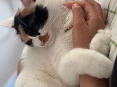 -回龙观体育文化公园