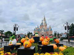 -上海迪士尼度假区