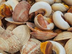 -青岛美食夜校·美食集合地(麦岛店)