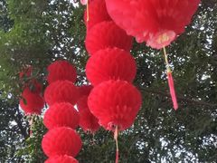 -人民公园(罗湖区)