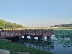 -丁香湖公园