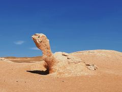 -哈密雅丹大海道景区