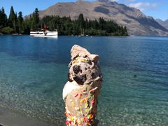 -Patagonia Chocolates(皇后镇店)