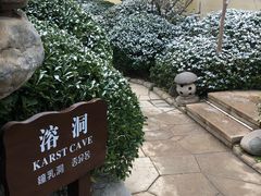 -仁爱团泊湖温泉中心
