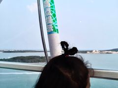 -琴岛之星摩天轮