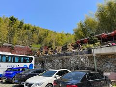 -宁波浙东大竹海景区