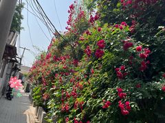 -北京国子监胡同