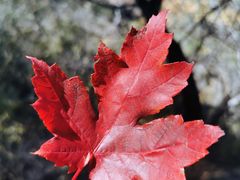 -云峰山自然风景区