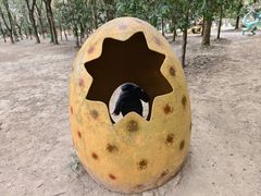 -宁波野生动物园