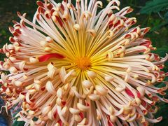 -北京植物园-展览温室