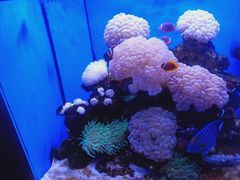 -多彩贵州城极地海洋世界