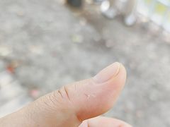 -上海杨姆庄园