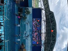 -石林冰雪海洋世界