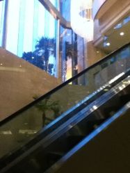 -上海浦东华美达大酒店·宴会厅