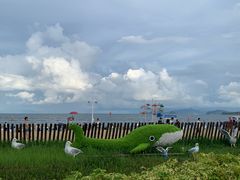 -大梅沙海滨公园