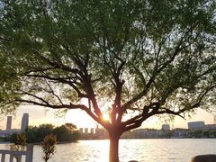 -莱西月湖公园