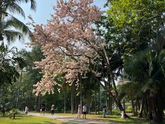 -中国科学院西双版纳热带植物园