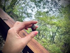 -终南山南五台景区