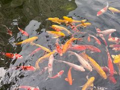 -绳金塔