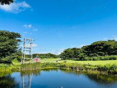 -济州森林小火车生态公园