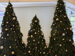 -中旅阿那亚九龙湖·公主酒店