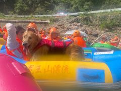 -安吉龙王山峡谷漂流