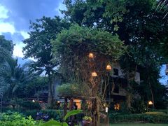 -卷心菜和避孕套餐厅(Pattaya)