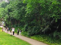 -重庆彩云湖湿地公园