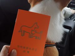 -贝康宠物医院·犬猫全科·小动物特色诊疗中心(东环路店)