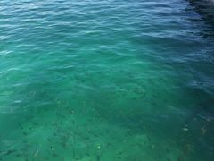 -碧水豪园·足浴·SPA·汗蒸·那须汤泉(中山东路店)