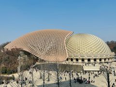 -牛首山文化旅游区